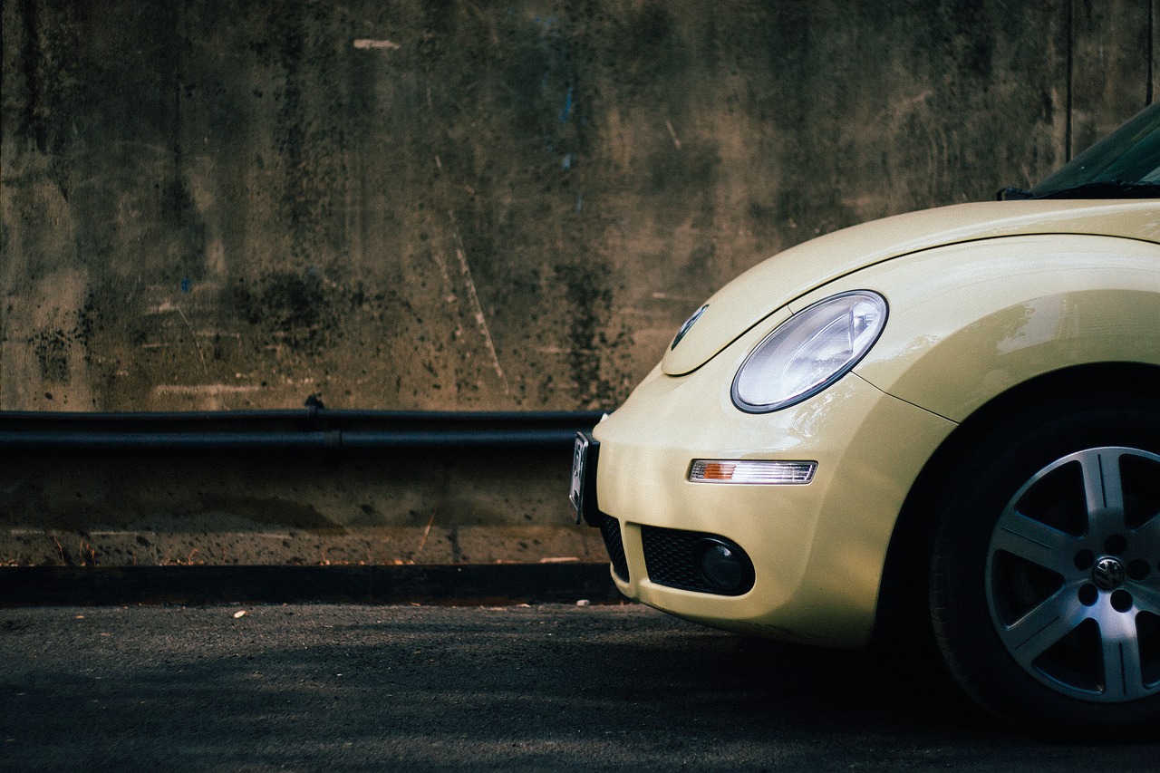 asphalt beetle car free photo