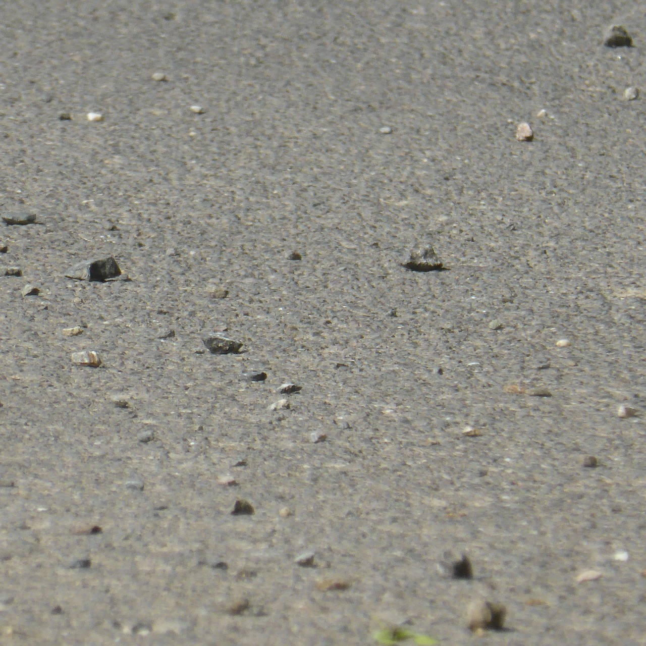 asphalt gravel stones free photo