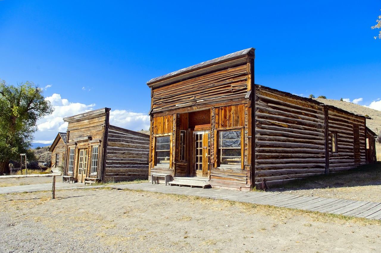 assay office and city drug  bannack  state free photo