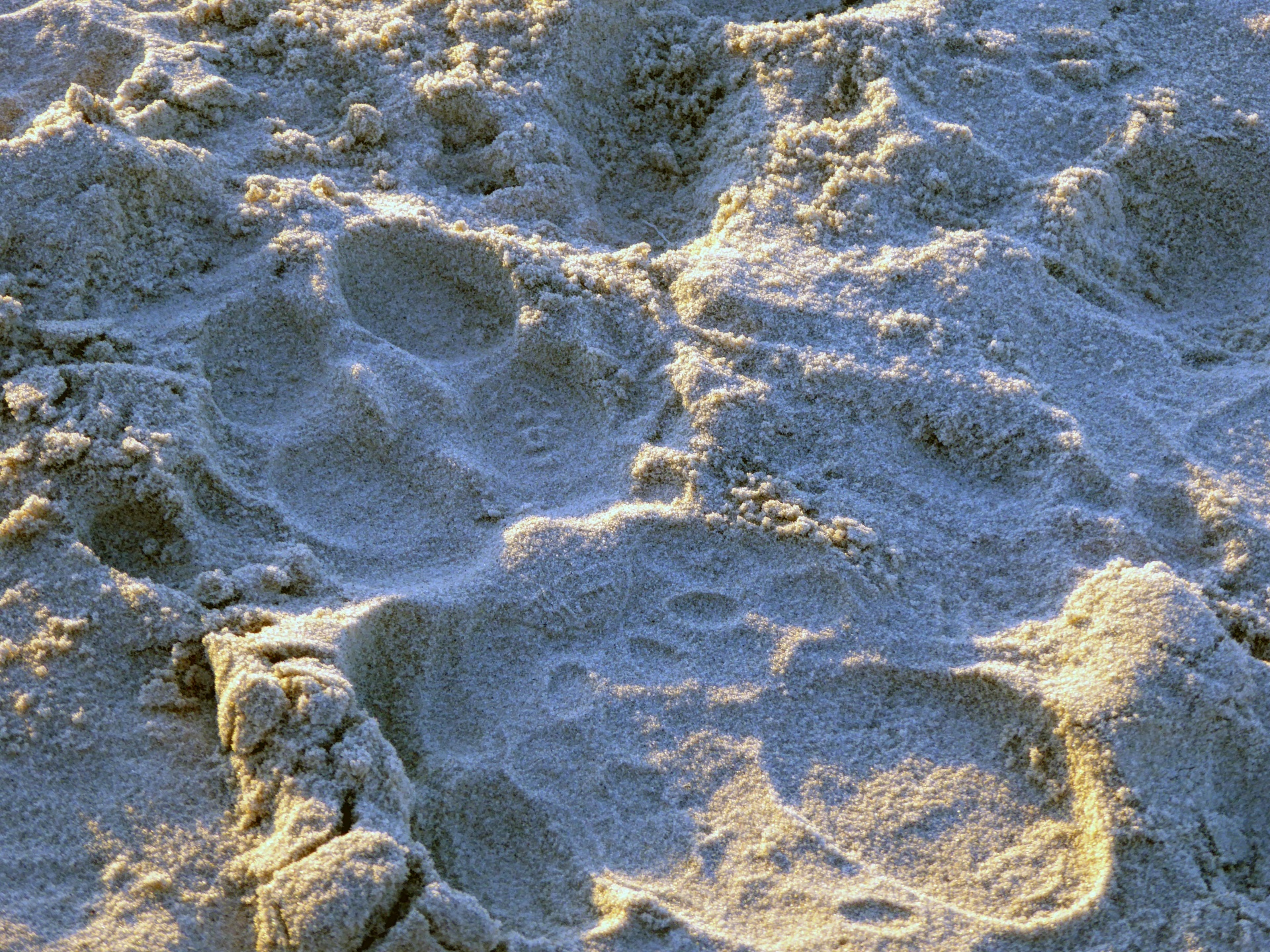 footprints background wallpaper free photo