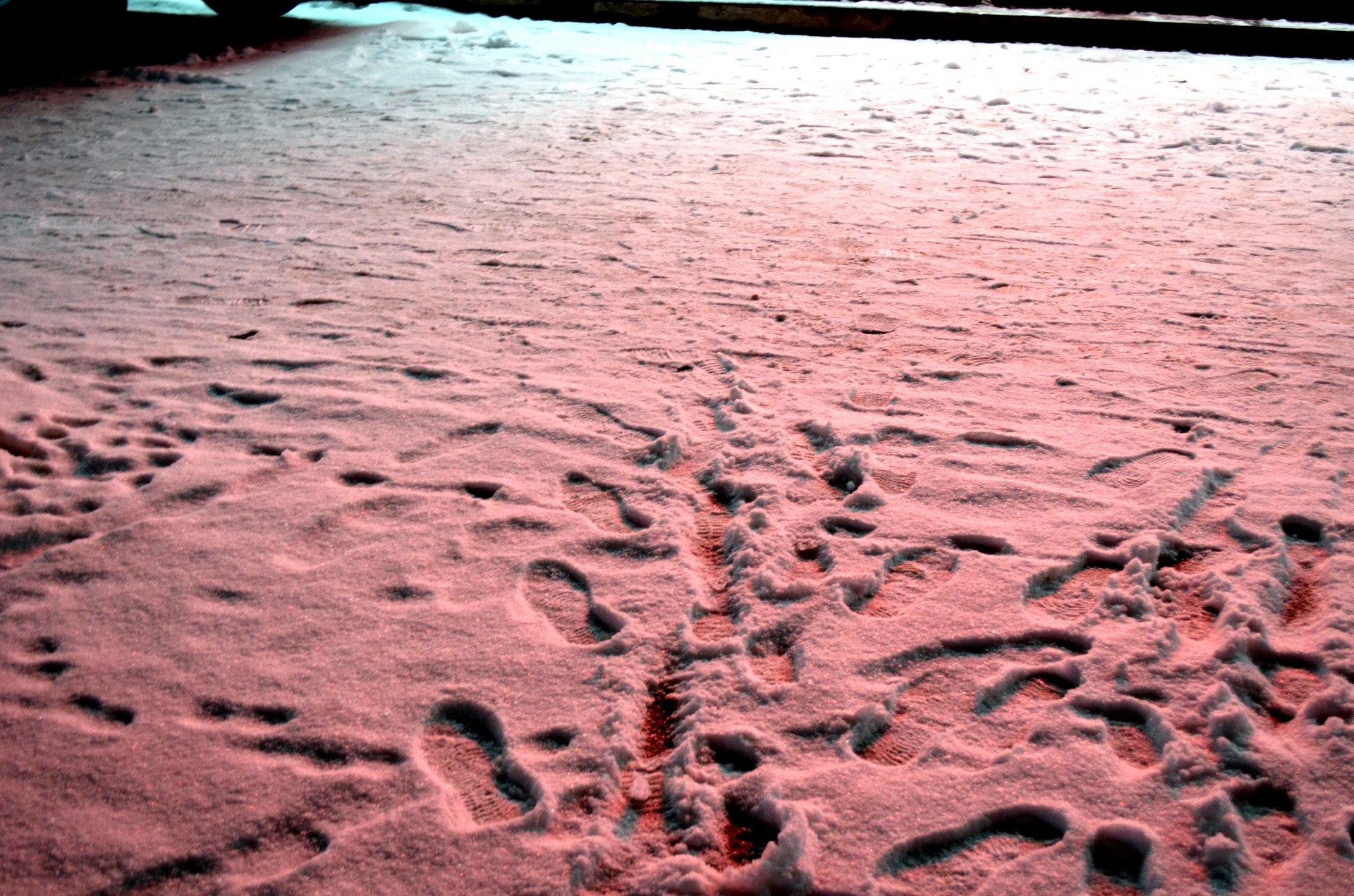 objects footprint footprints free photo