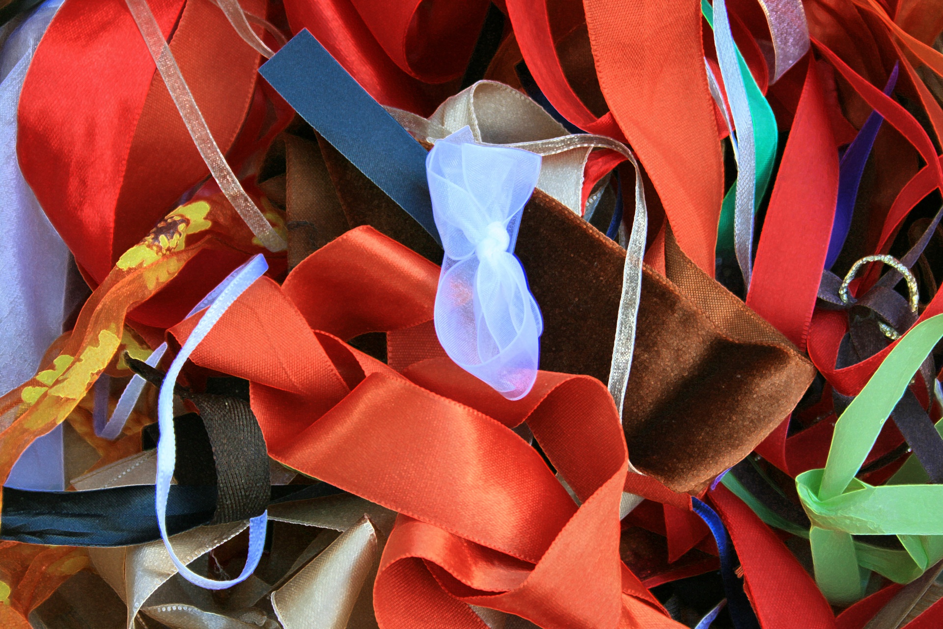 ribbons mixed shine free photo