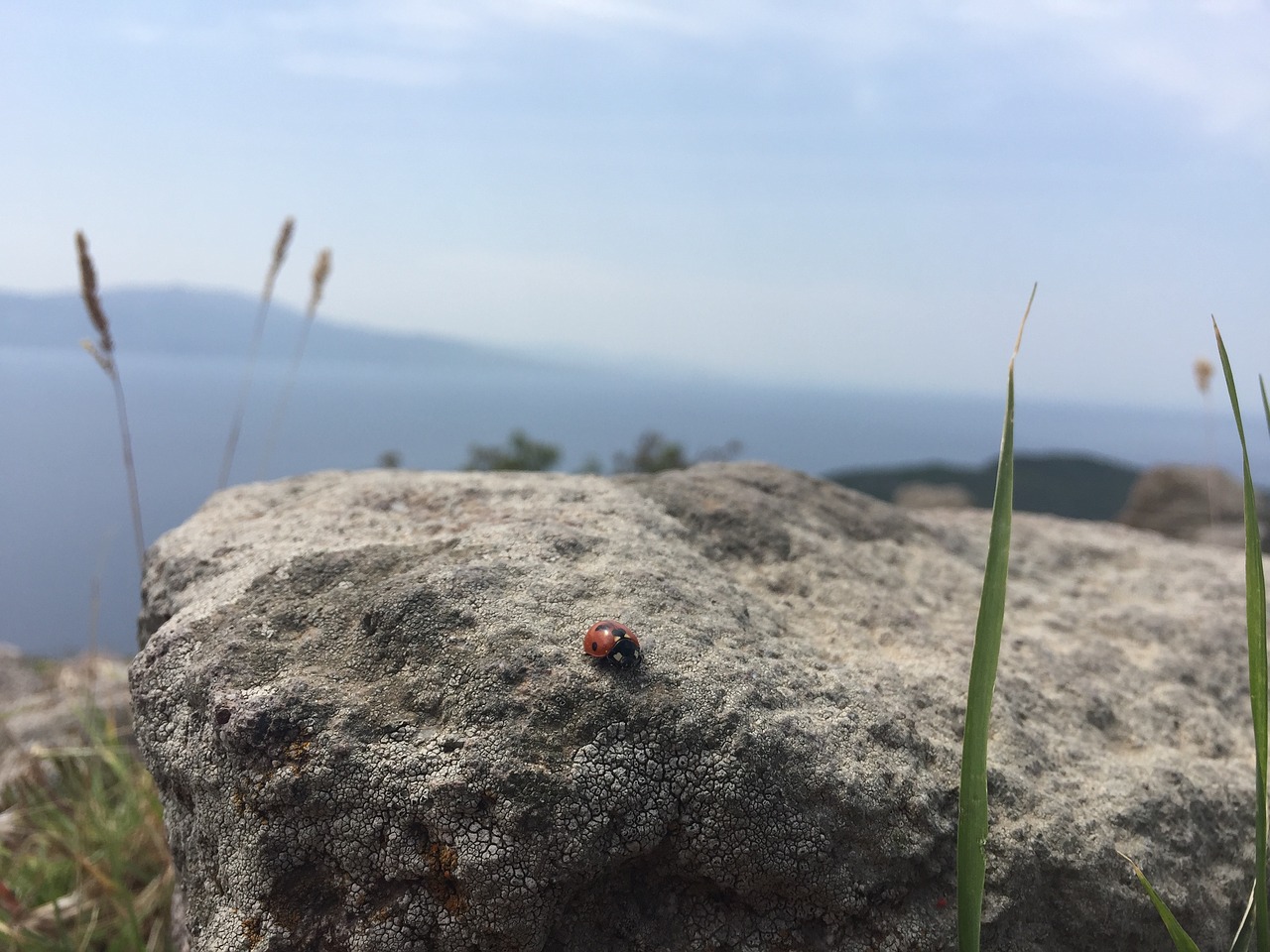 assos ancient city nature free photo