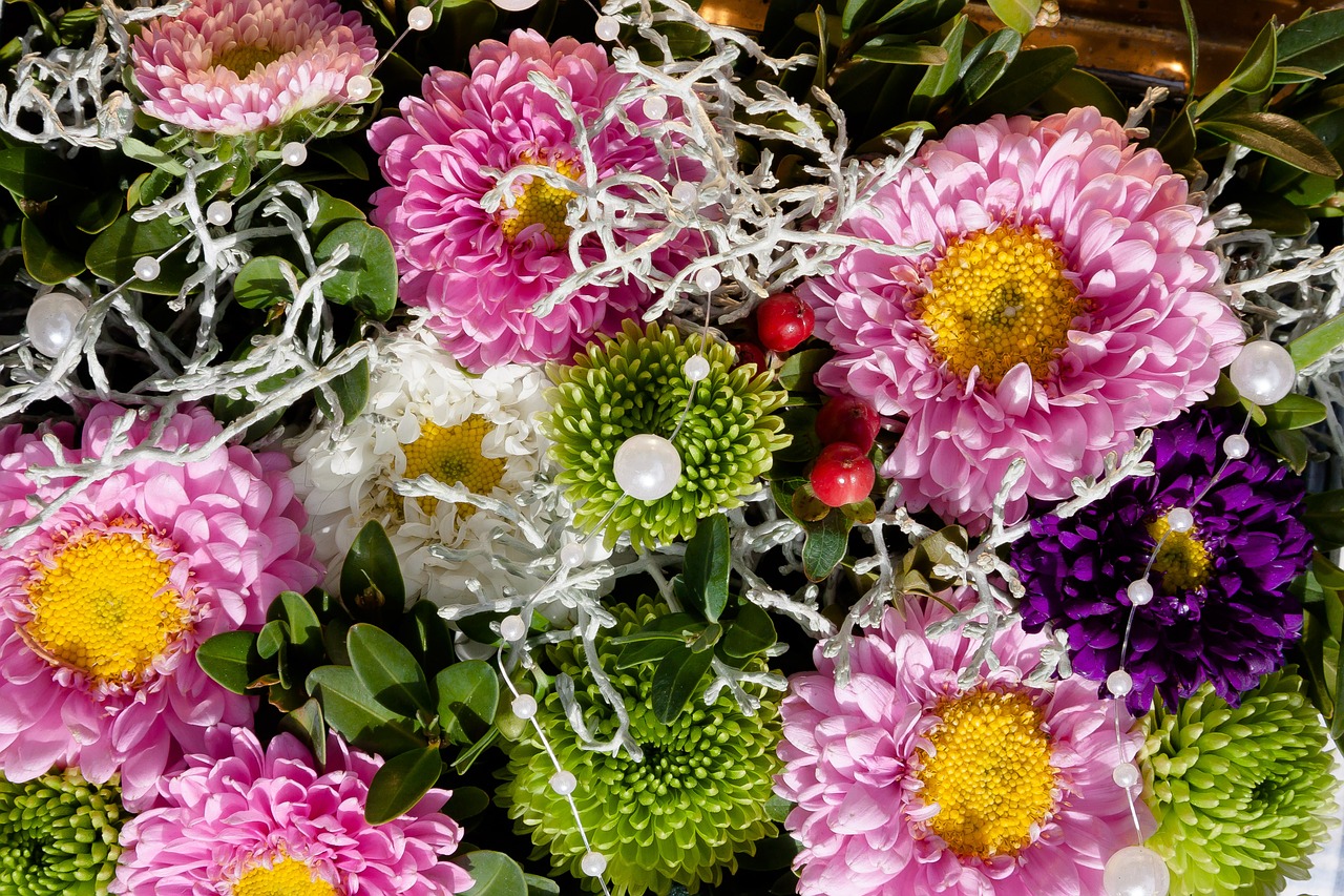 asters autumn arrangement free photo