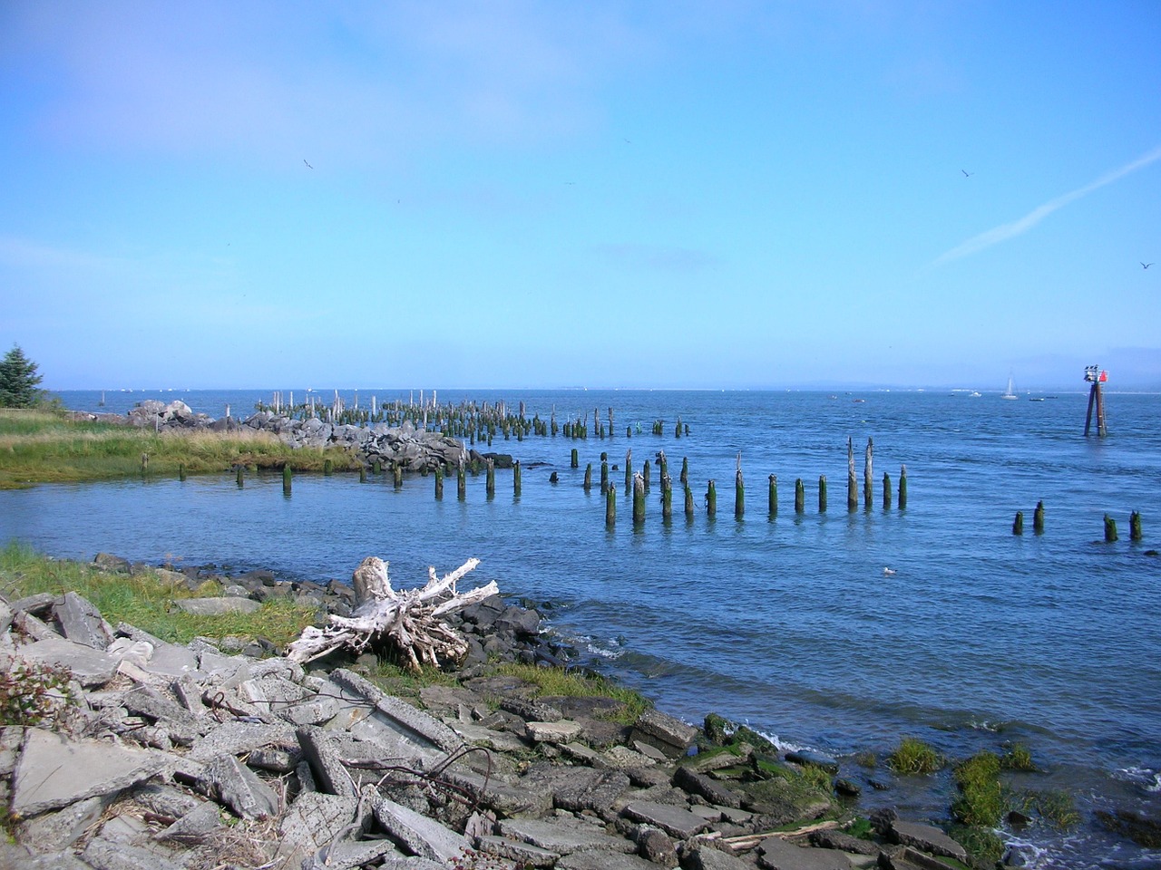 astoria old pier dock free photo