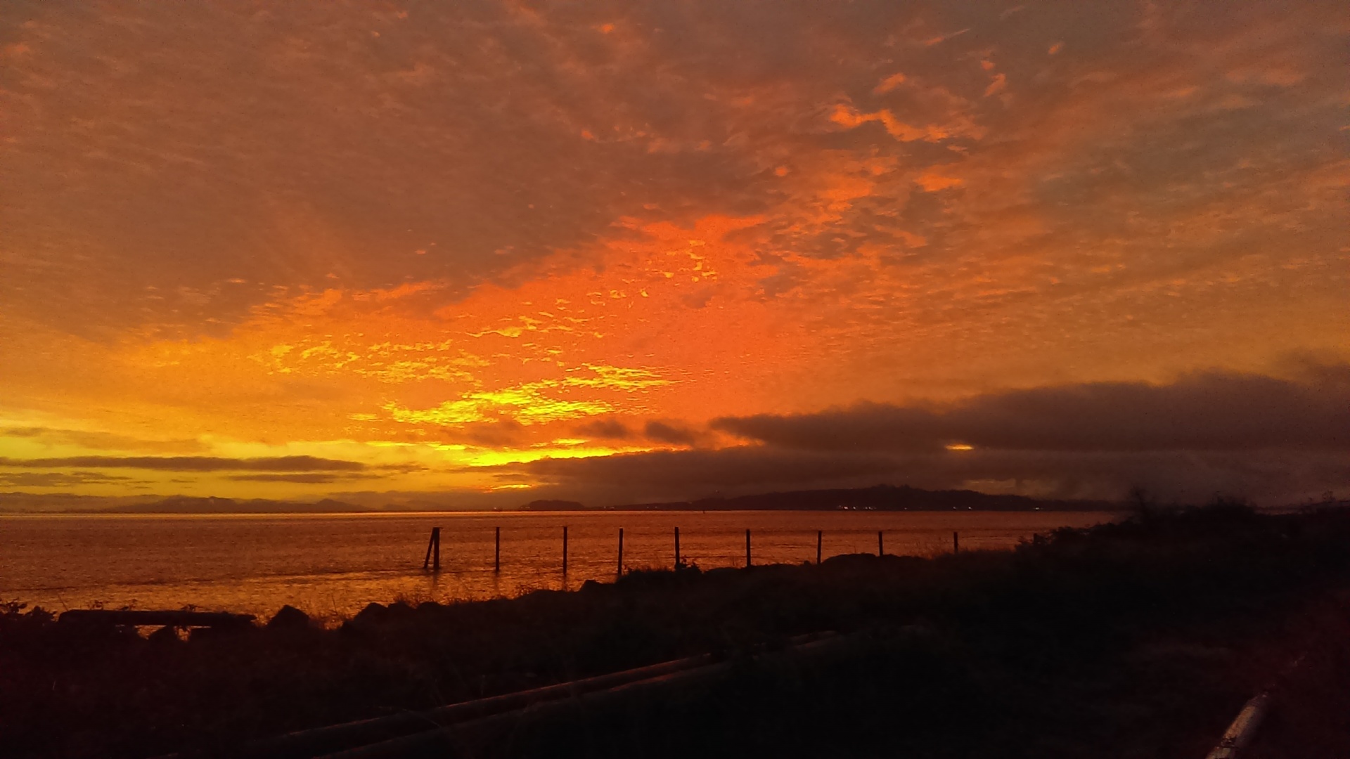 beautiful sunrise astoria free photo