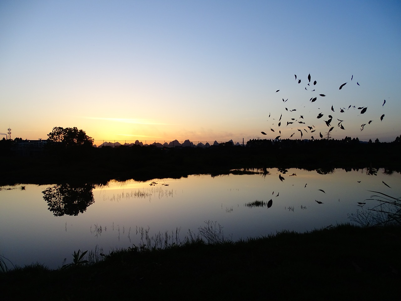 at dusk silhouette sky free photo