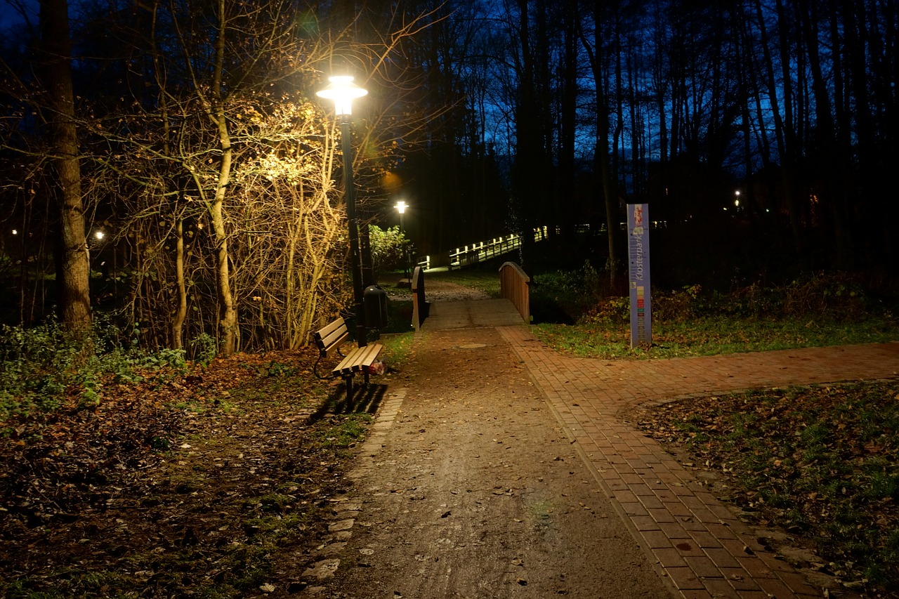 at night in the park harsefeld free photo