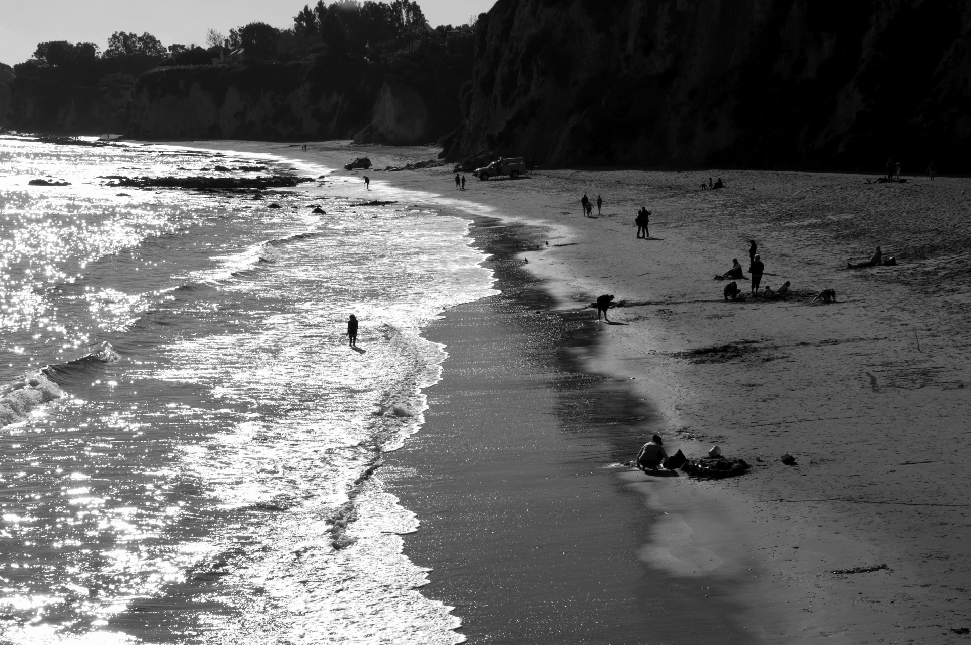 black white beach ocean free photo