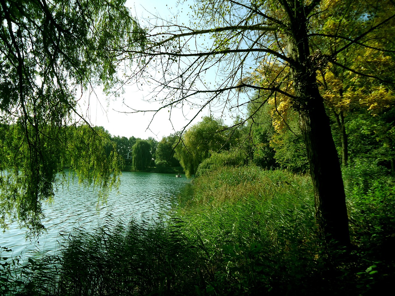 seascape at the lake steinseeidylle free photo