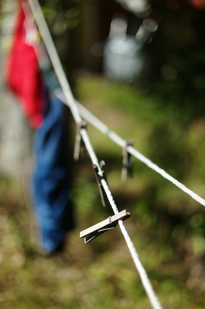 at the same time  tork  clothes line free photo