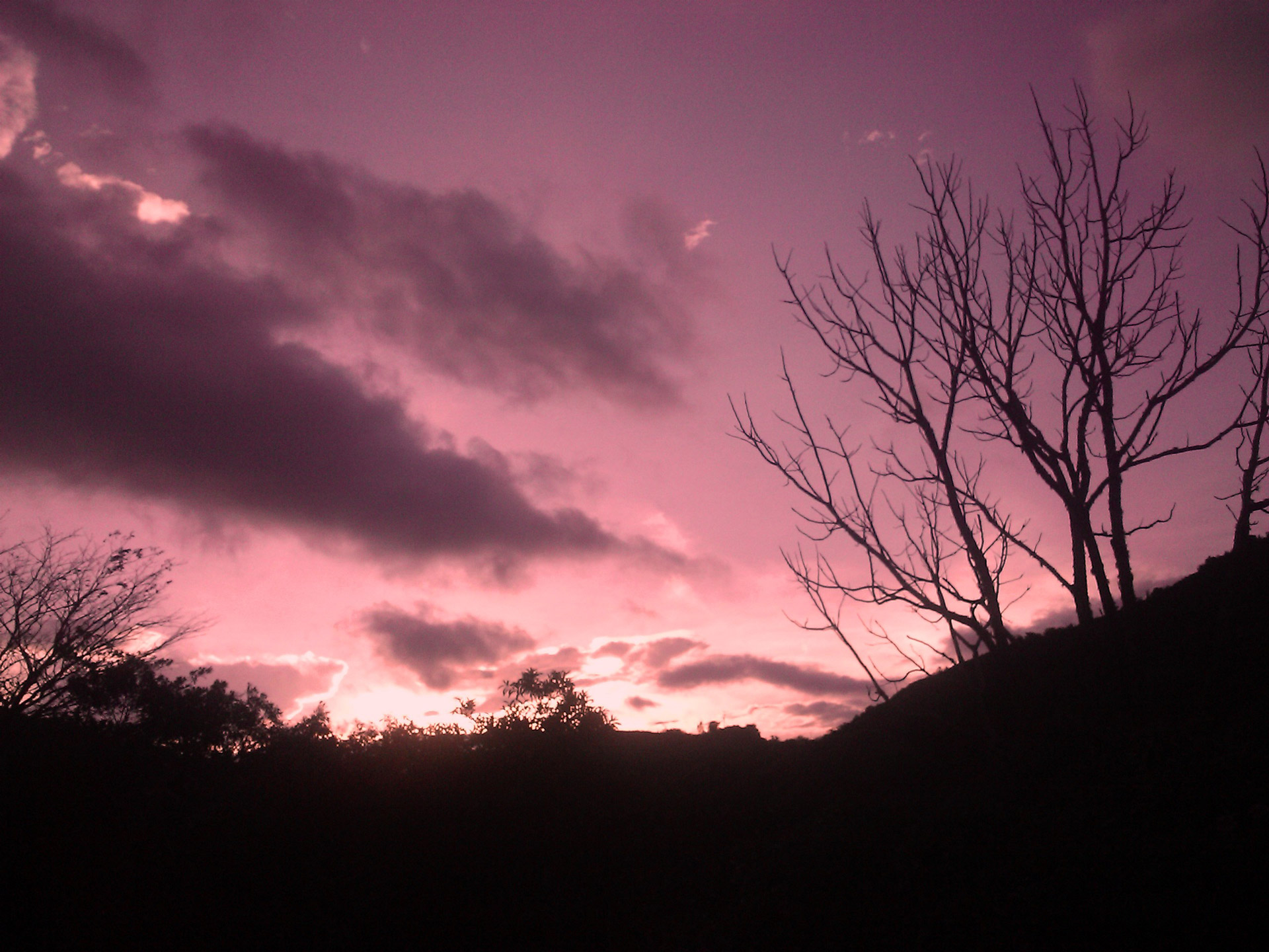 sunset red red sunset free photo