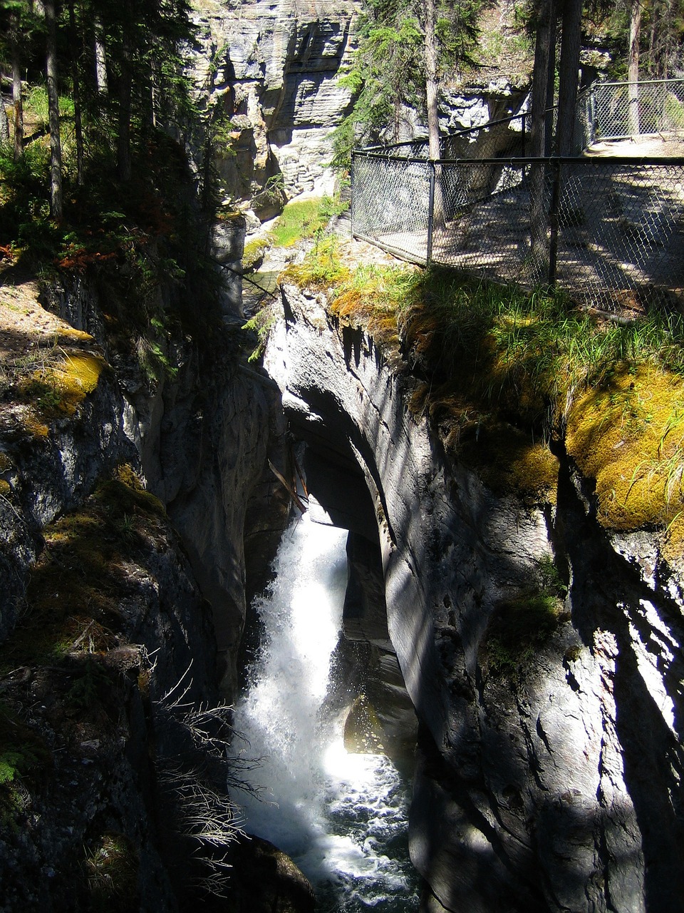 athabasca falls rocky mountain free photo