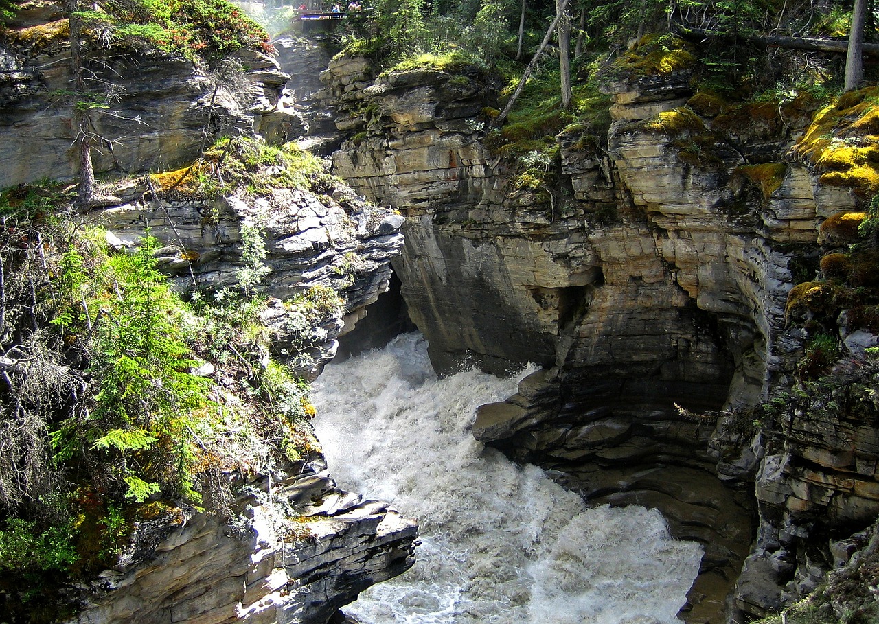 athabasca falls rocky mountain free photo