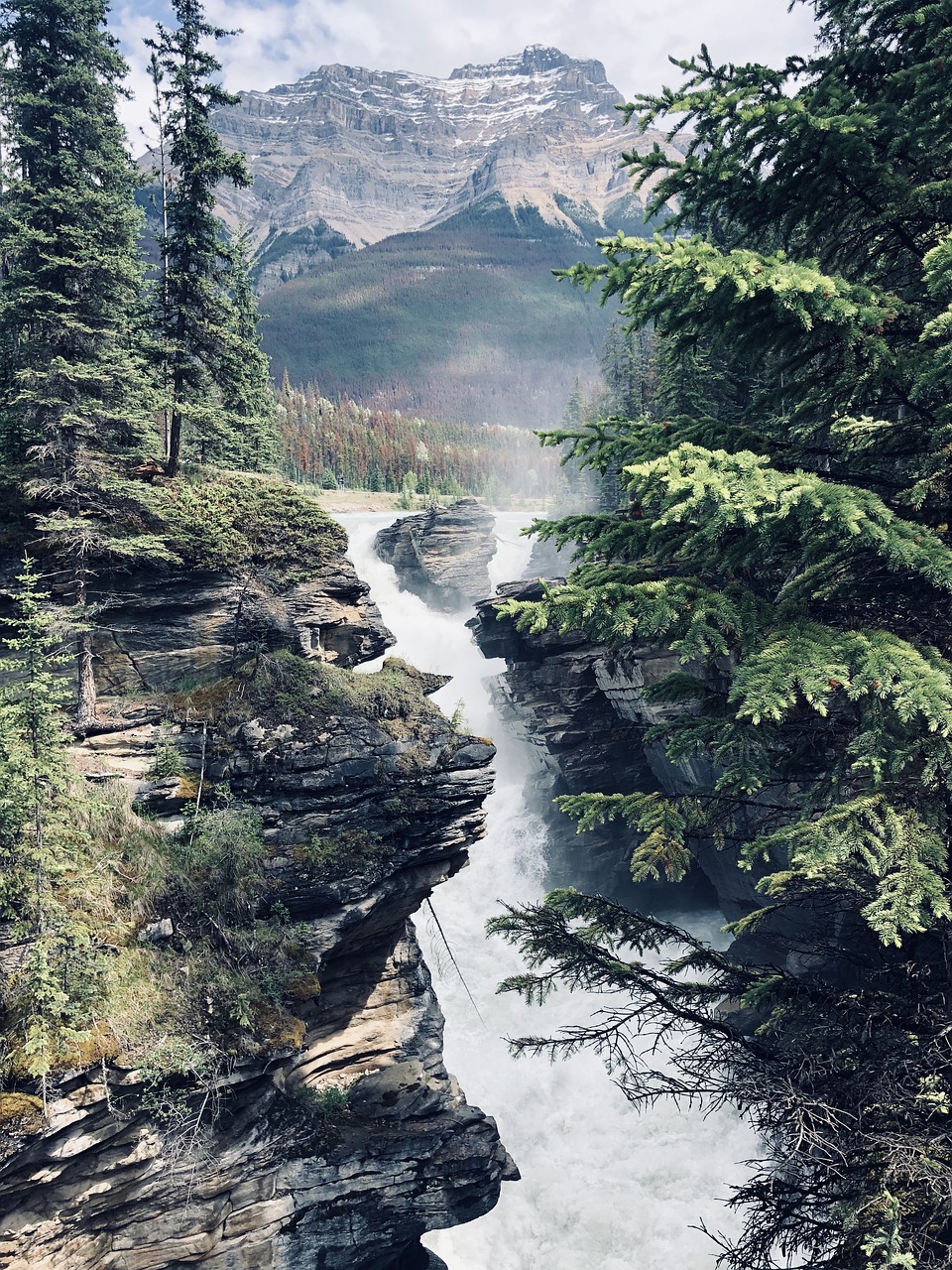 athabasca falls  scenic waterfalls  landscape free photo