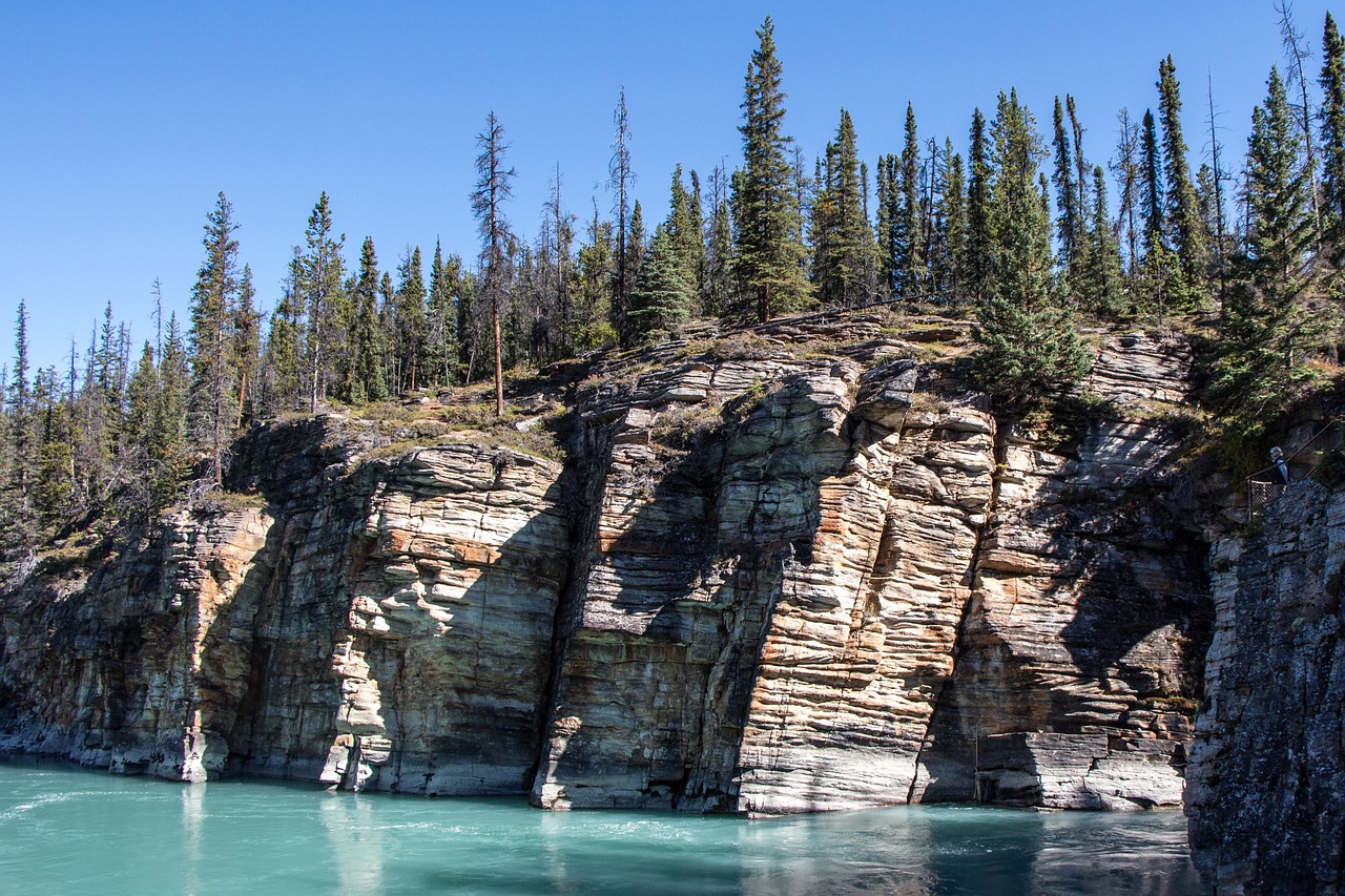 athabasca river cliff forest free photo