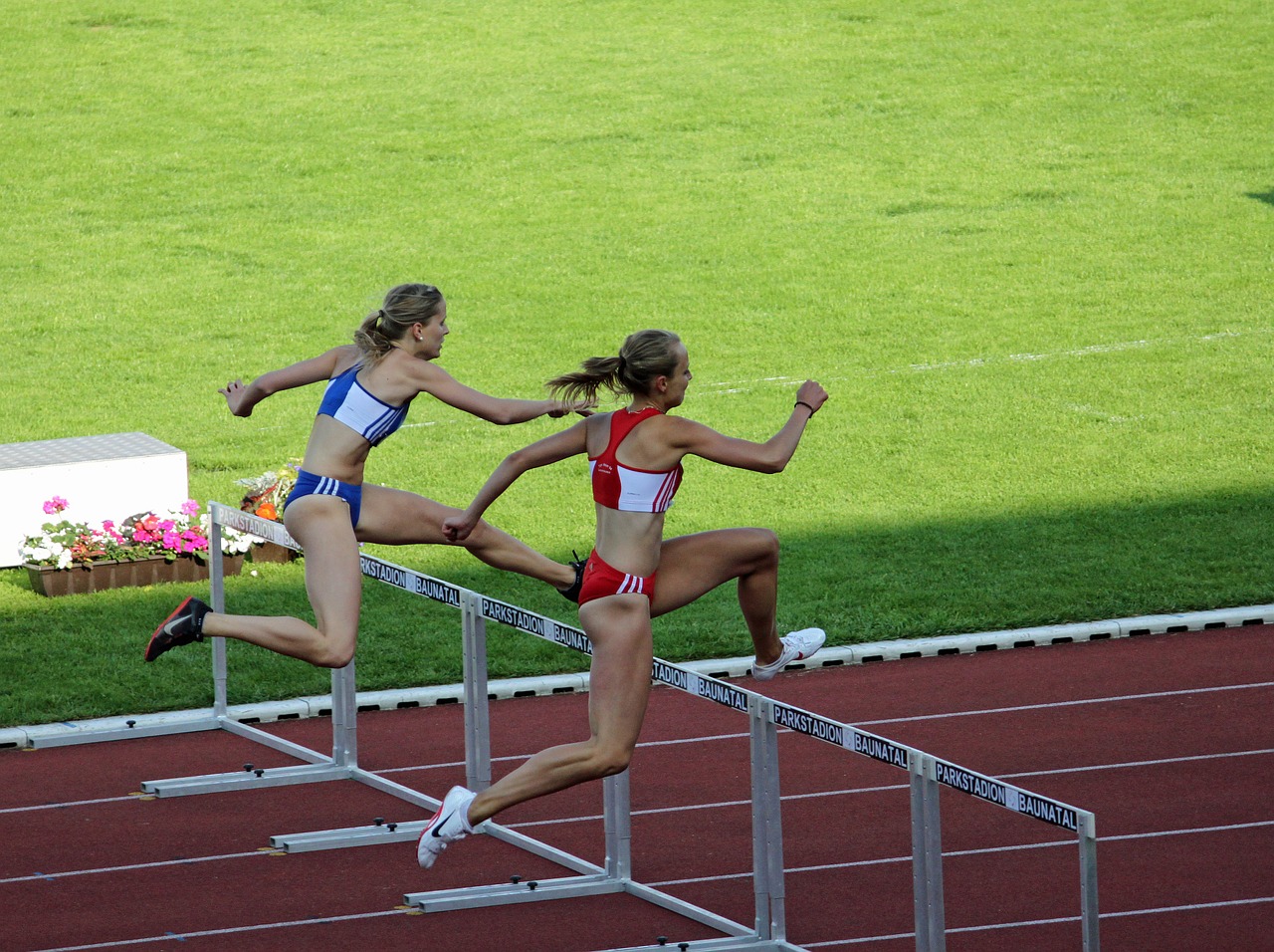 athletics women hurdles free photo