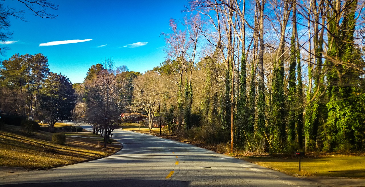 atlanta trees woods free photo