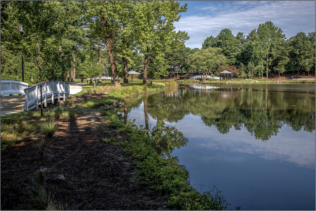 atlanta  park  landscape free photo