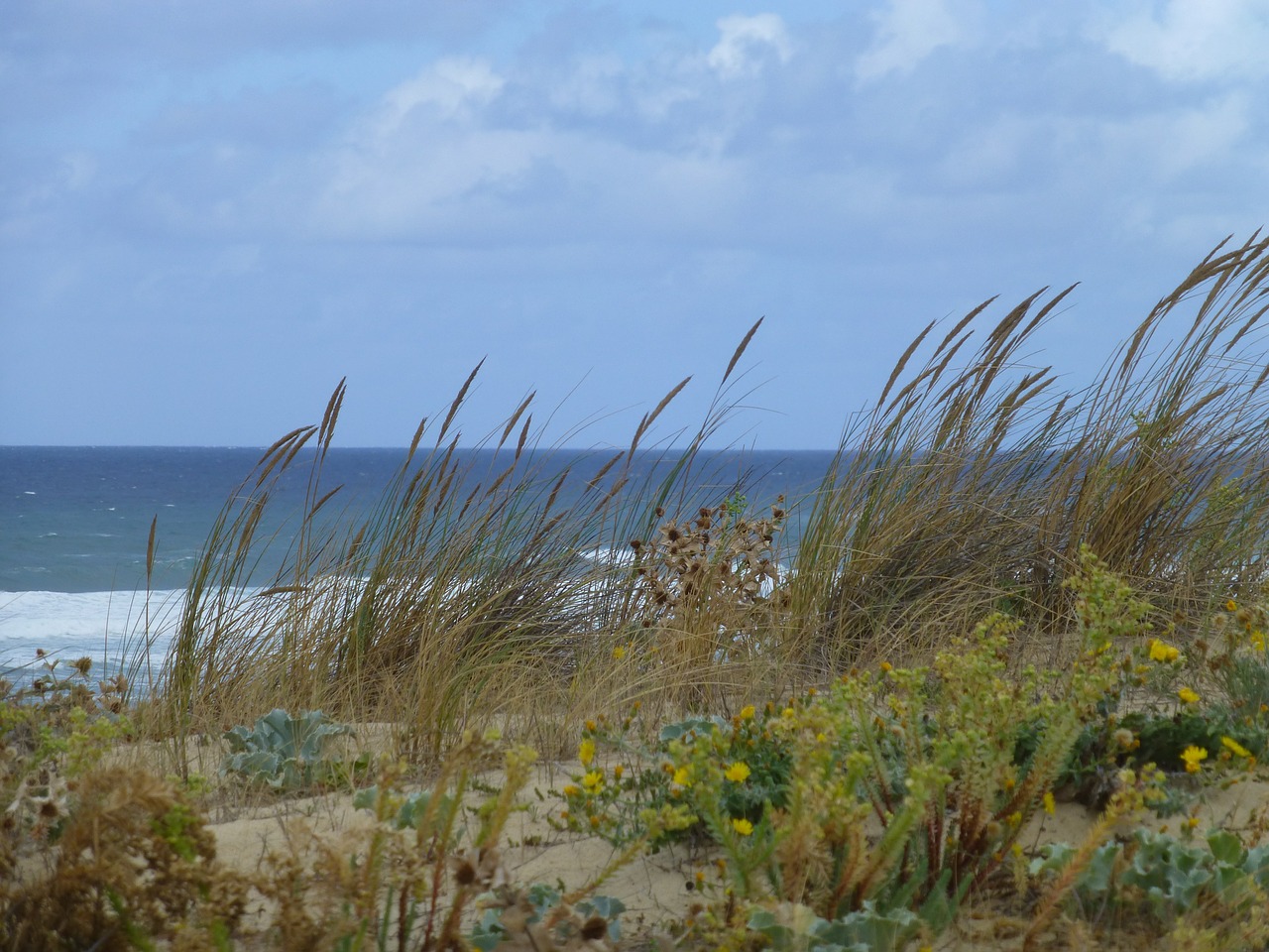 atlantic coast landscape free photo