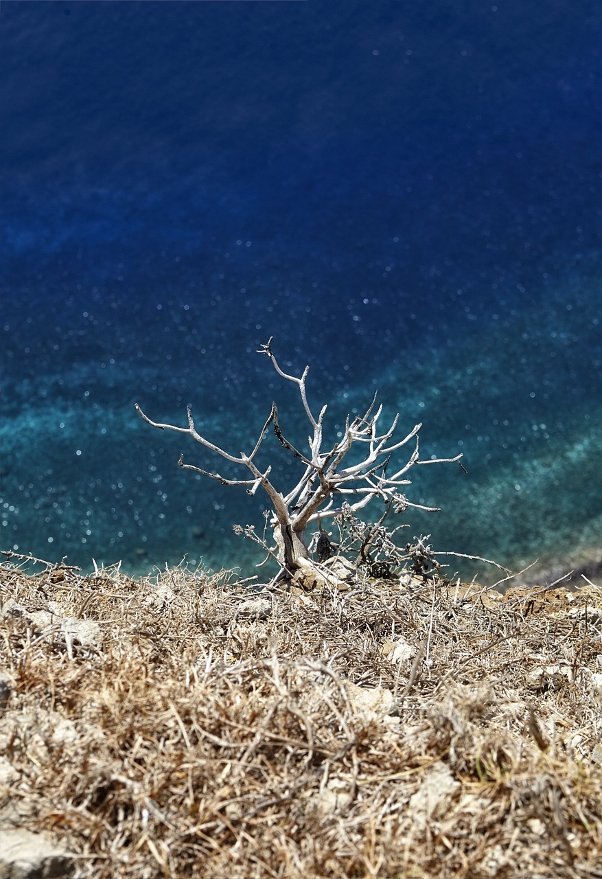 atlantic water sea free photo