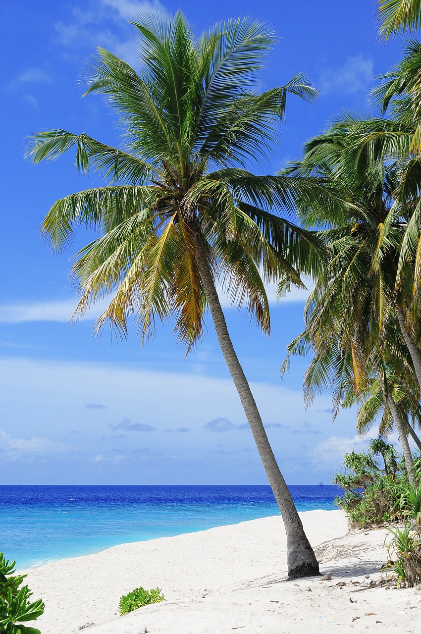 atoll beach couple free photo