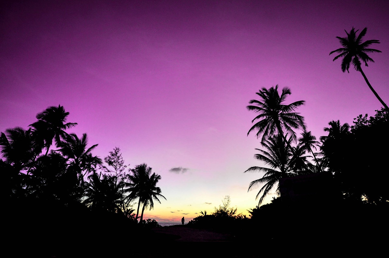 atoll beach couple free photo