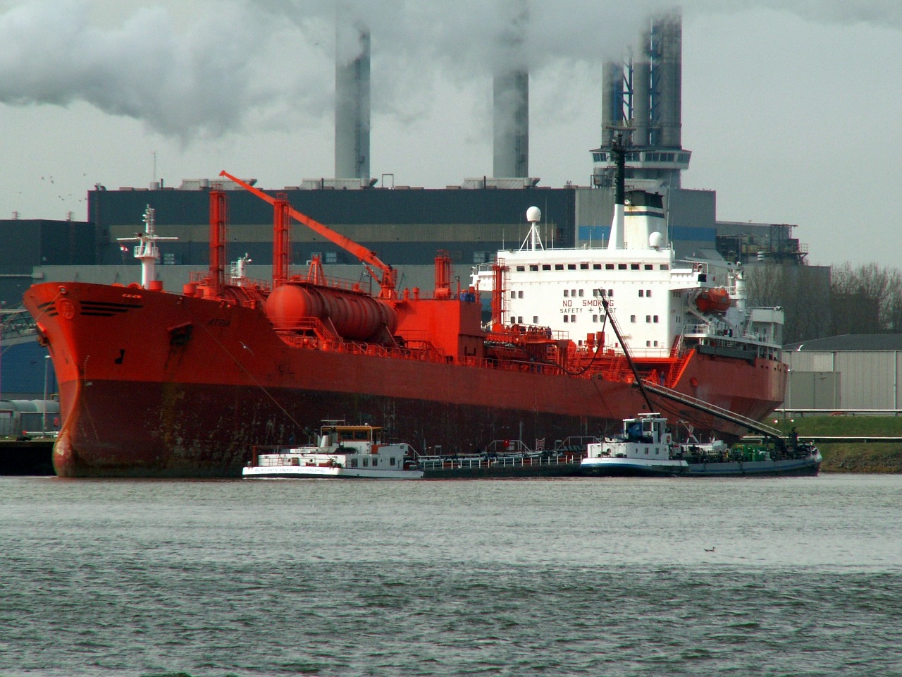 atria ship port free photo