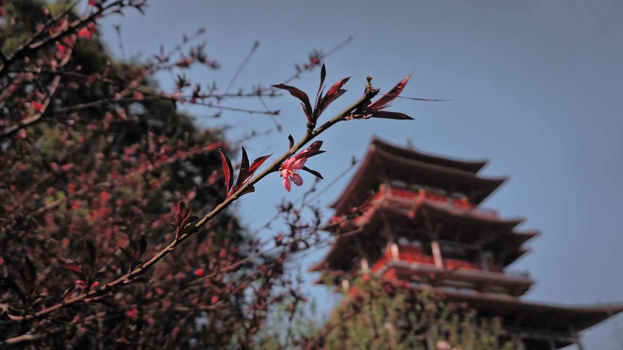 attic ancient architecture trees free photo