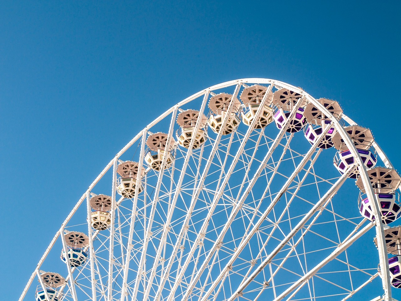 attraction ferris wheel free photo