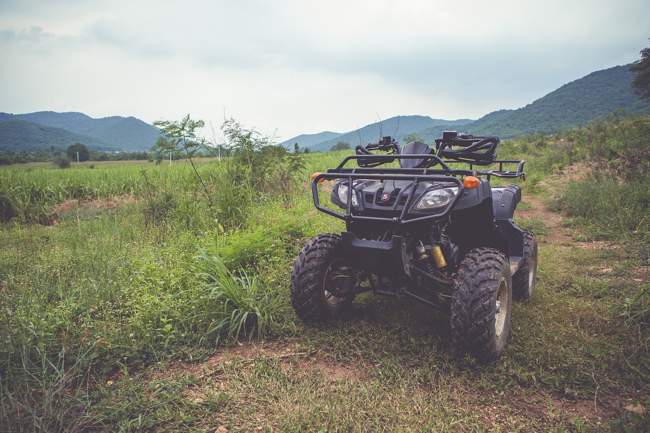 atv  nature  tourism free photo