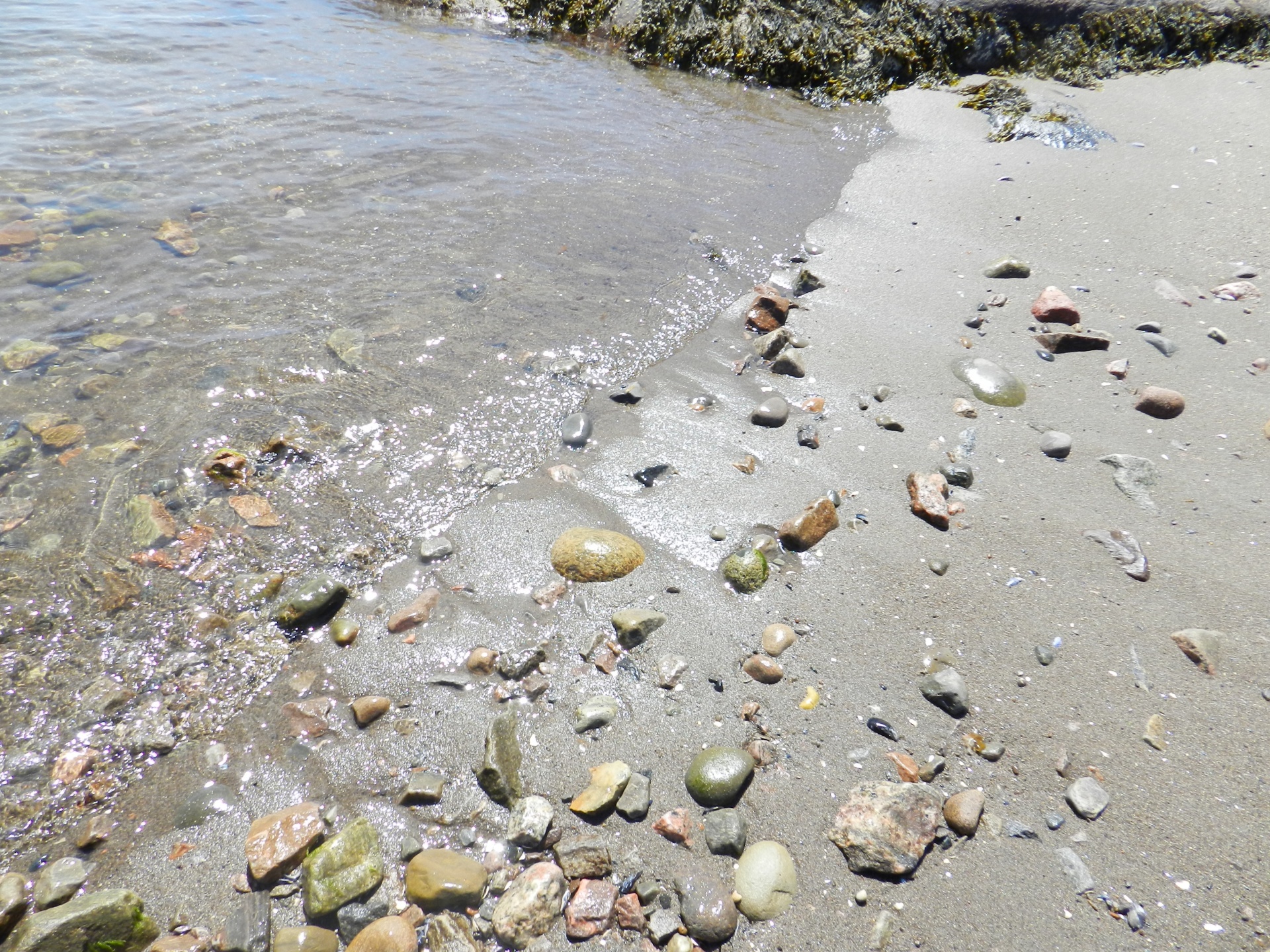 landscape sea stones free photo