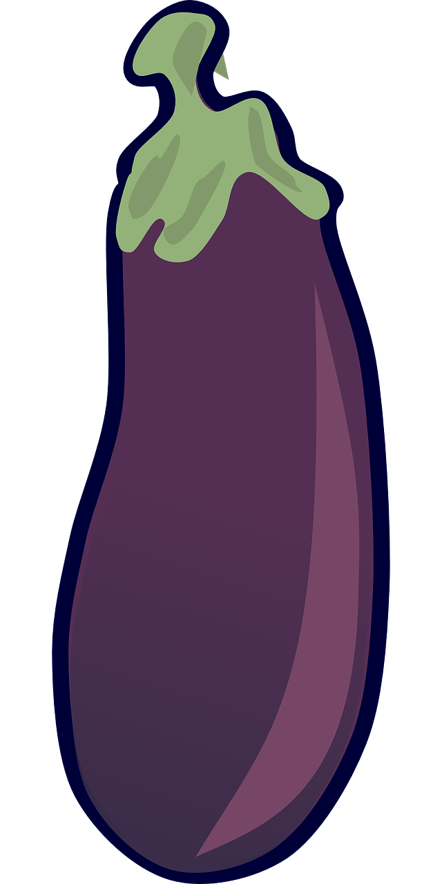 aubergine eggplant solanum melongena free photo