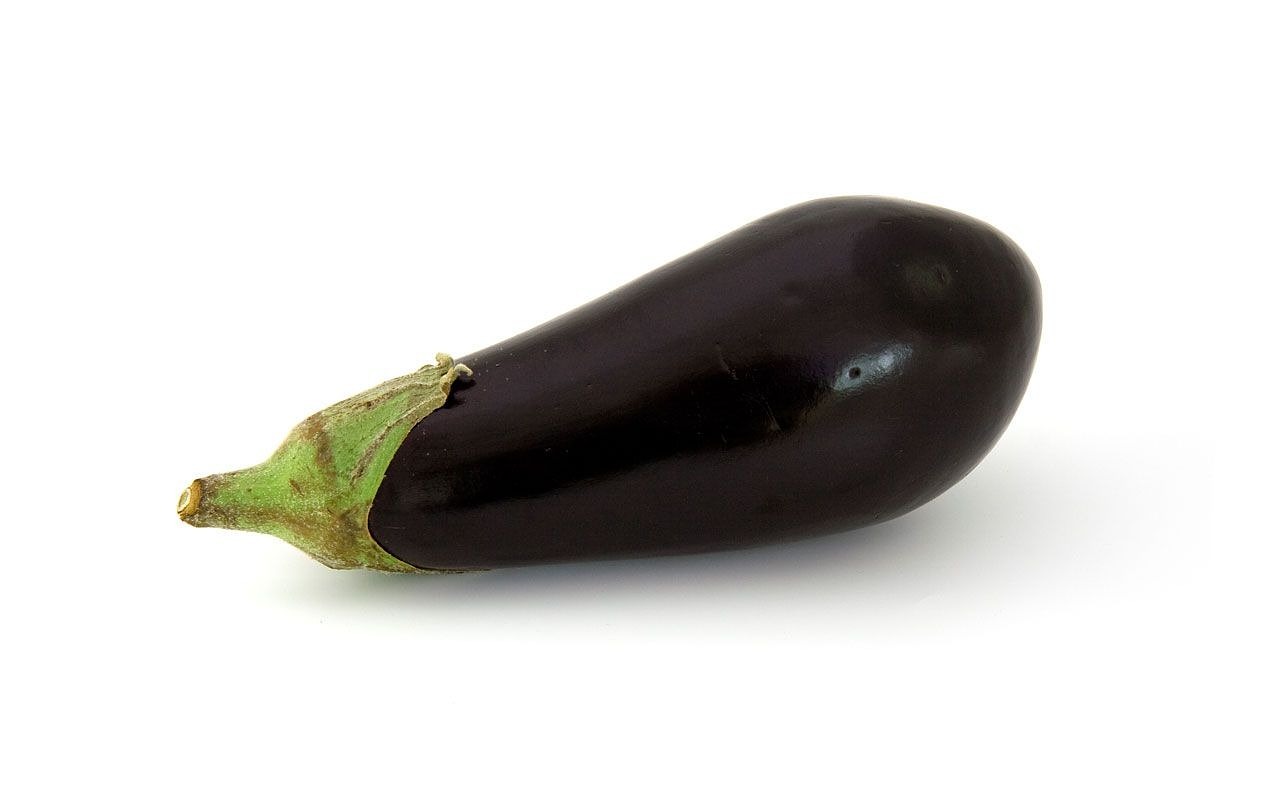 aubergine brinjal eggplant free photo