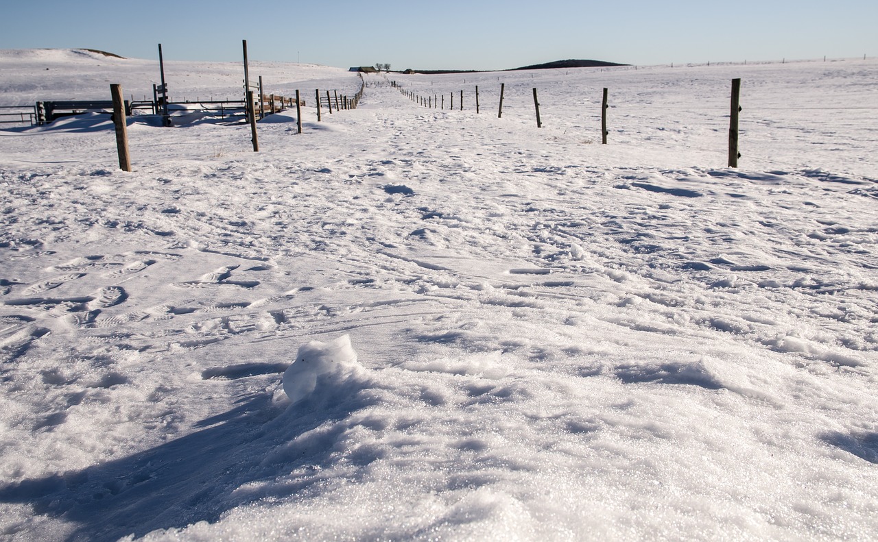 aubrac  road  snowy free photo