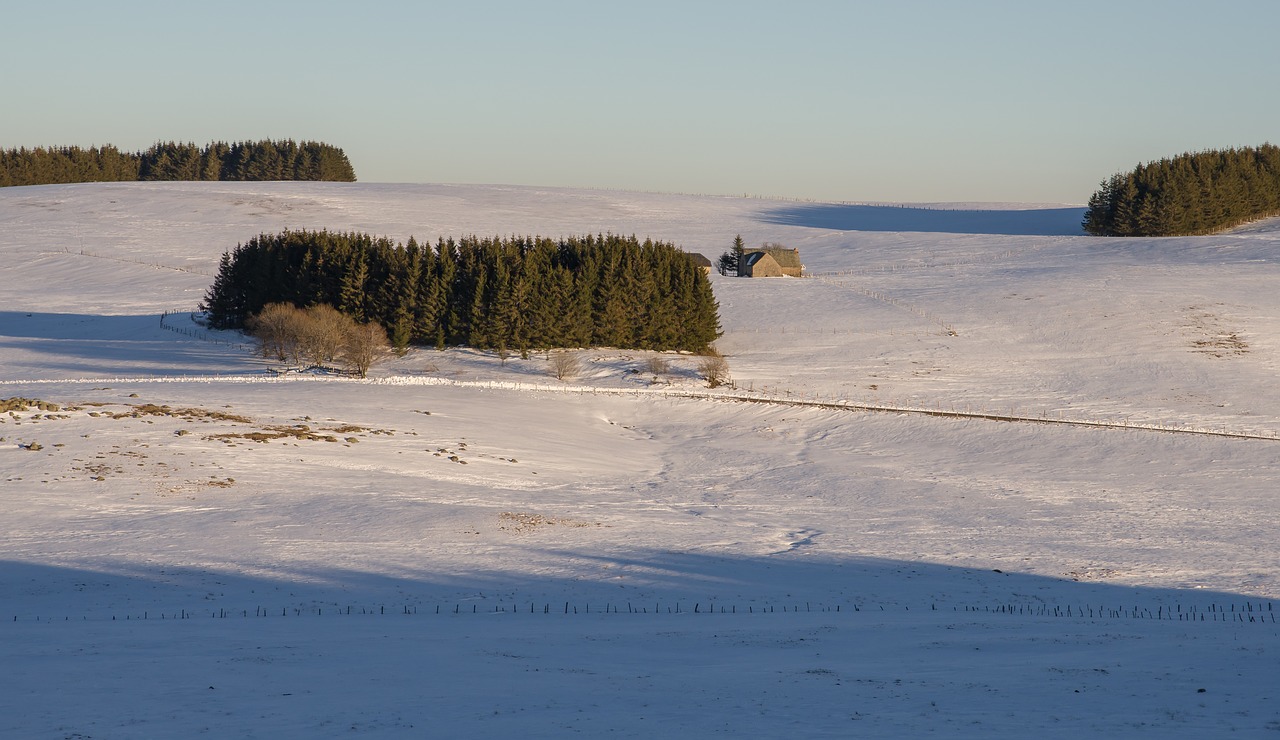 aubrac  sunset  farm free photo