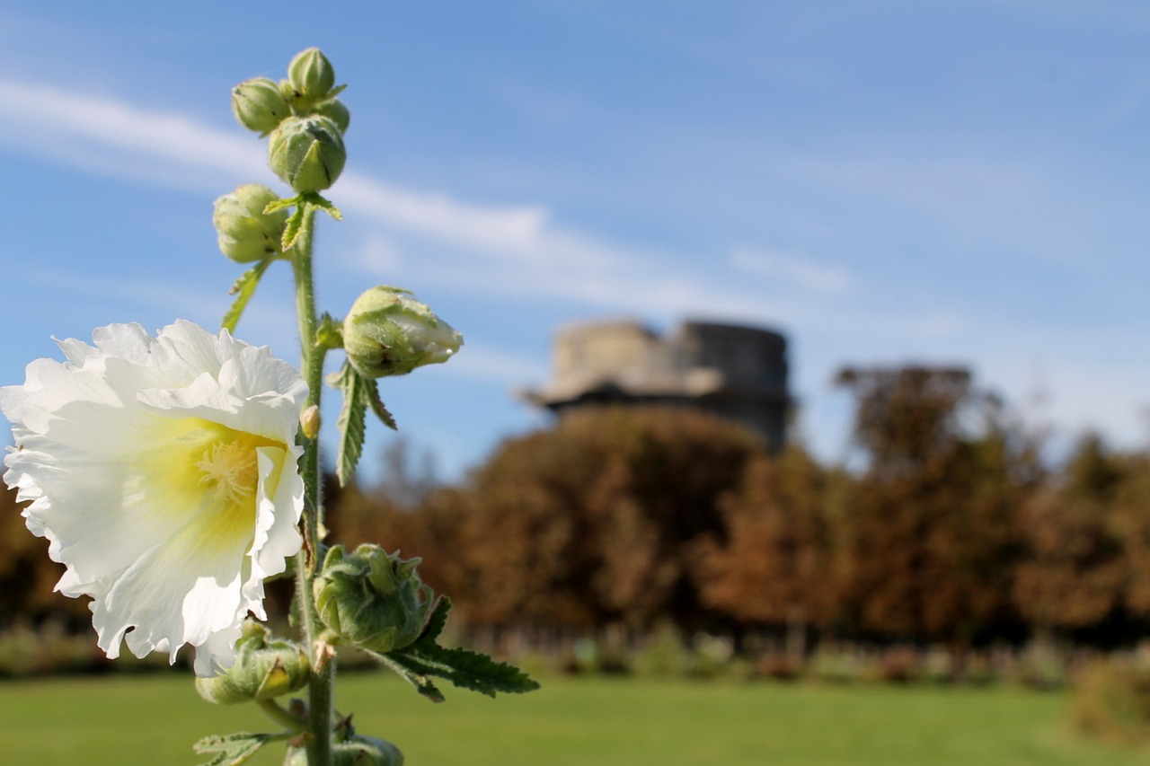 augarten vienna park free photo