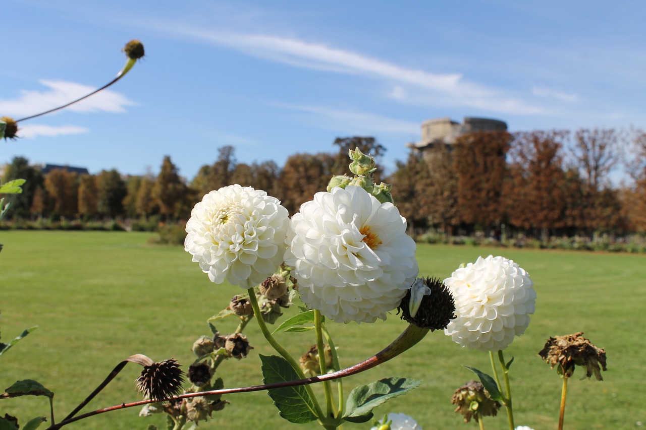 augarten vienna park free photo