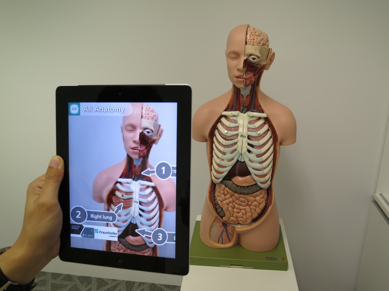 augmented reality medical 3d free photo