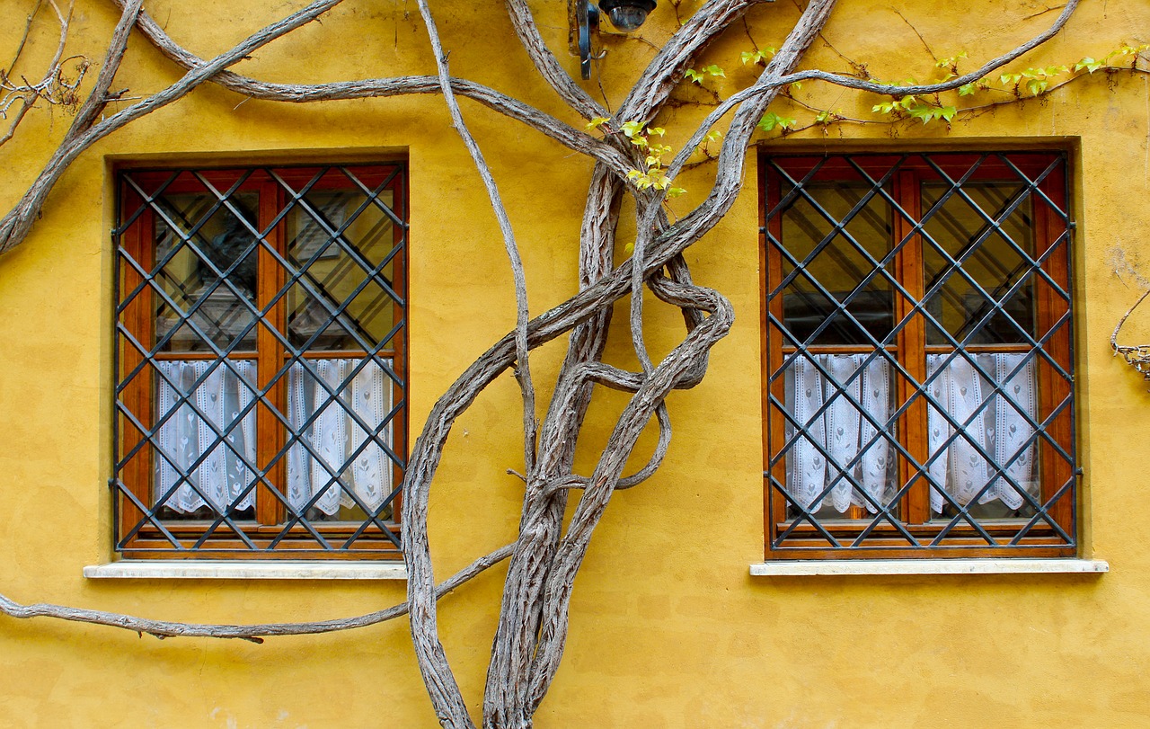 augsburg  fuggerei  window free photo