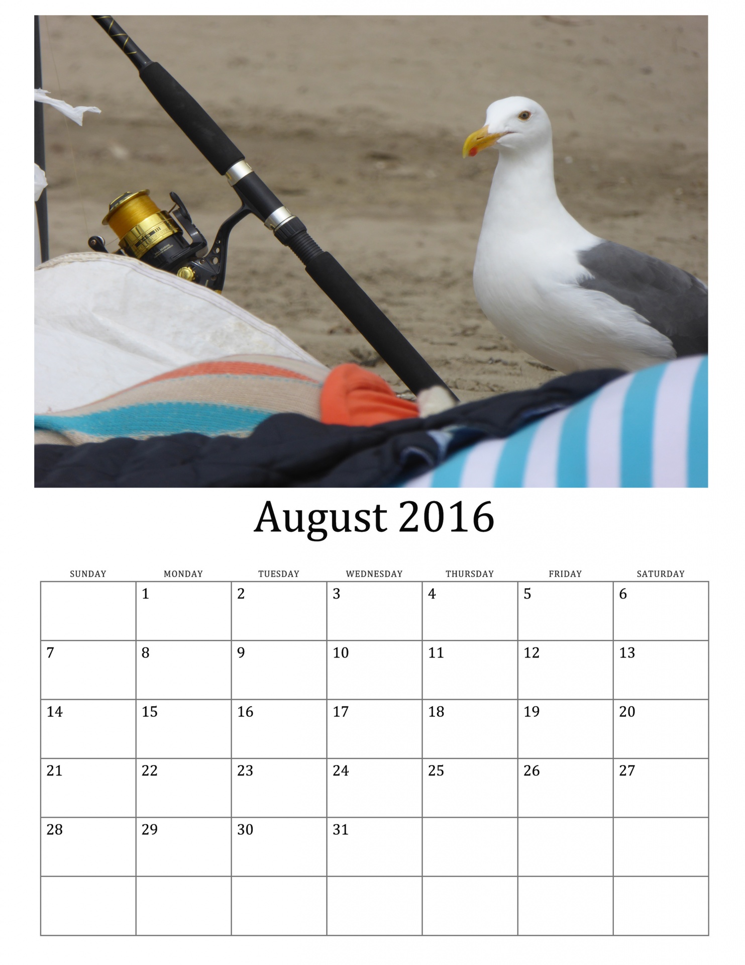 2016 2016 calendar seagull free photo