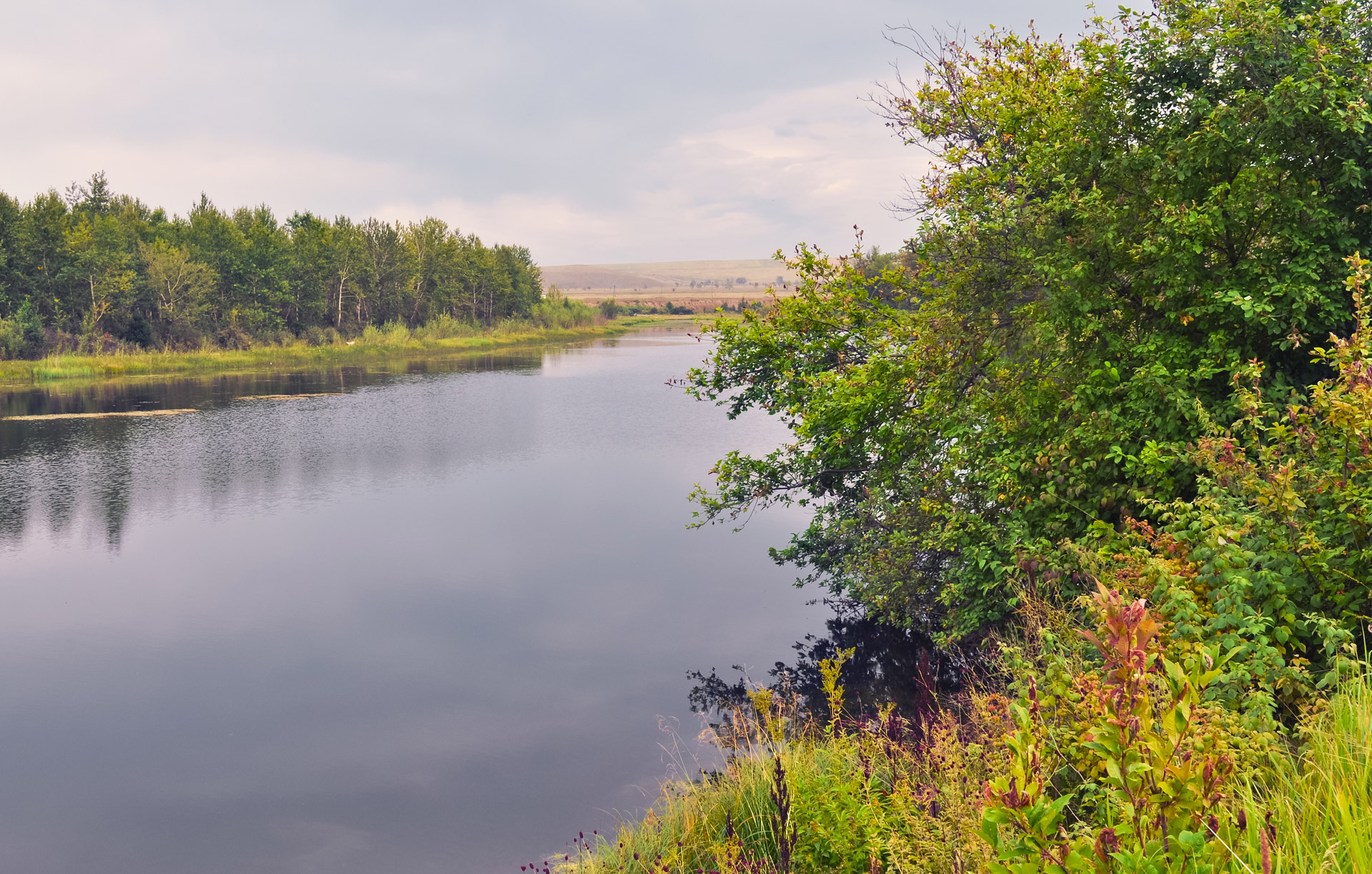 nature landscape river free photo