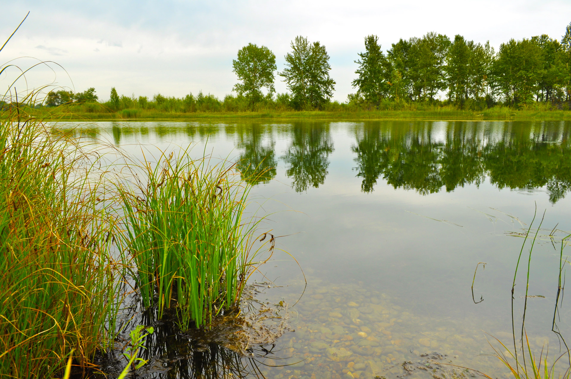 nature landscape river free photo