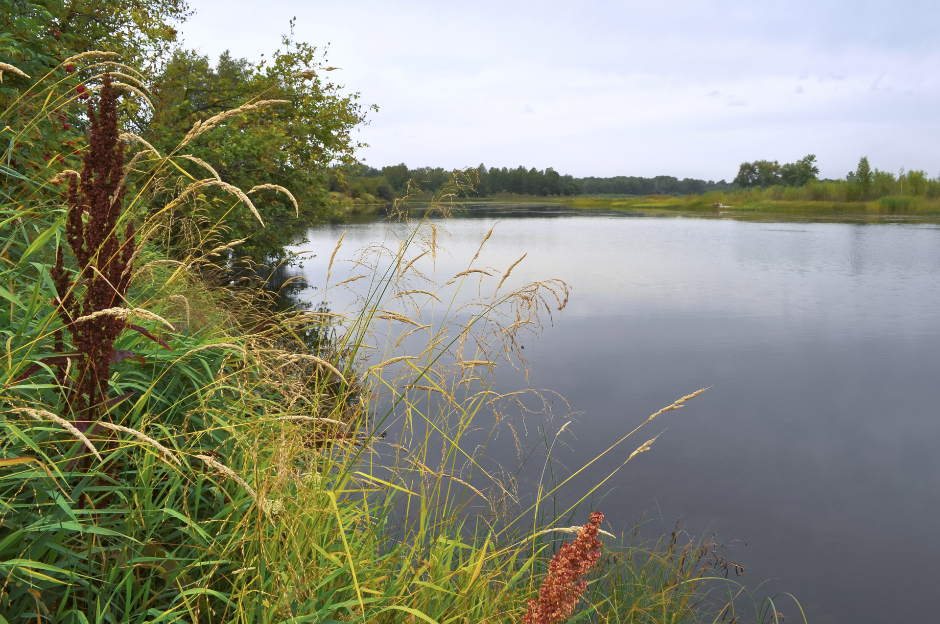 nature landscape river free photo