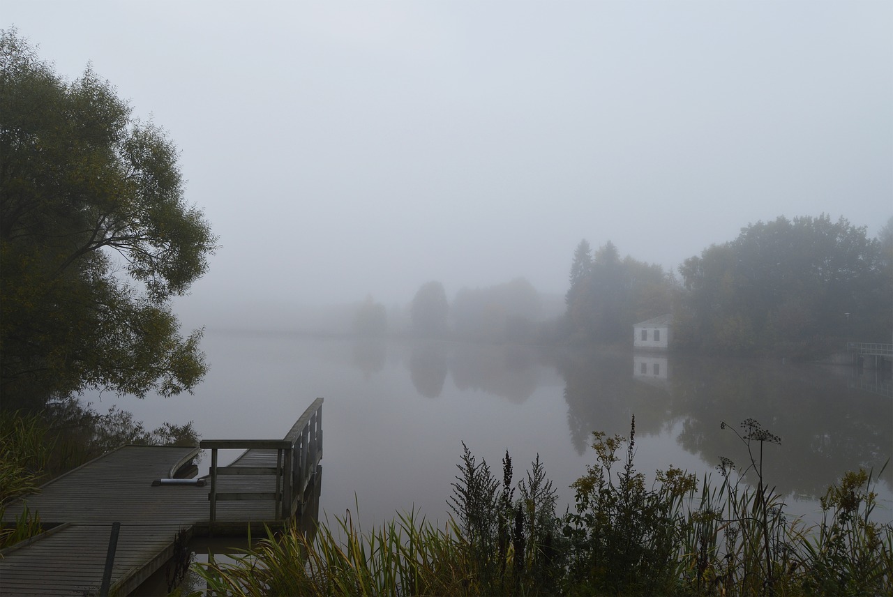 aura river  aura  fog free photo