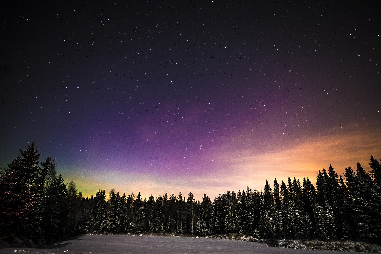 aurora winter night free photo