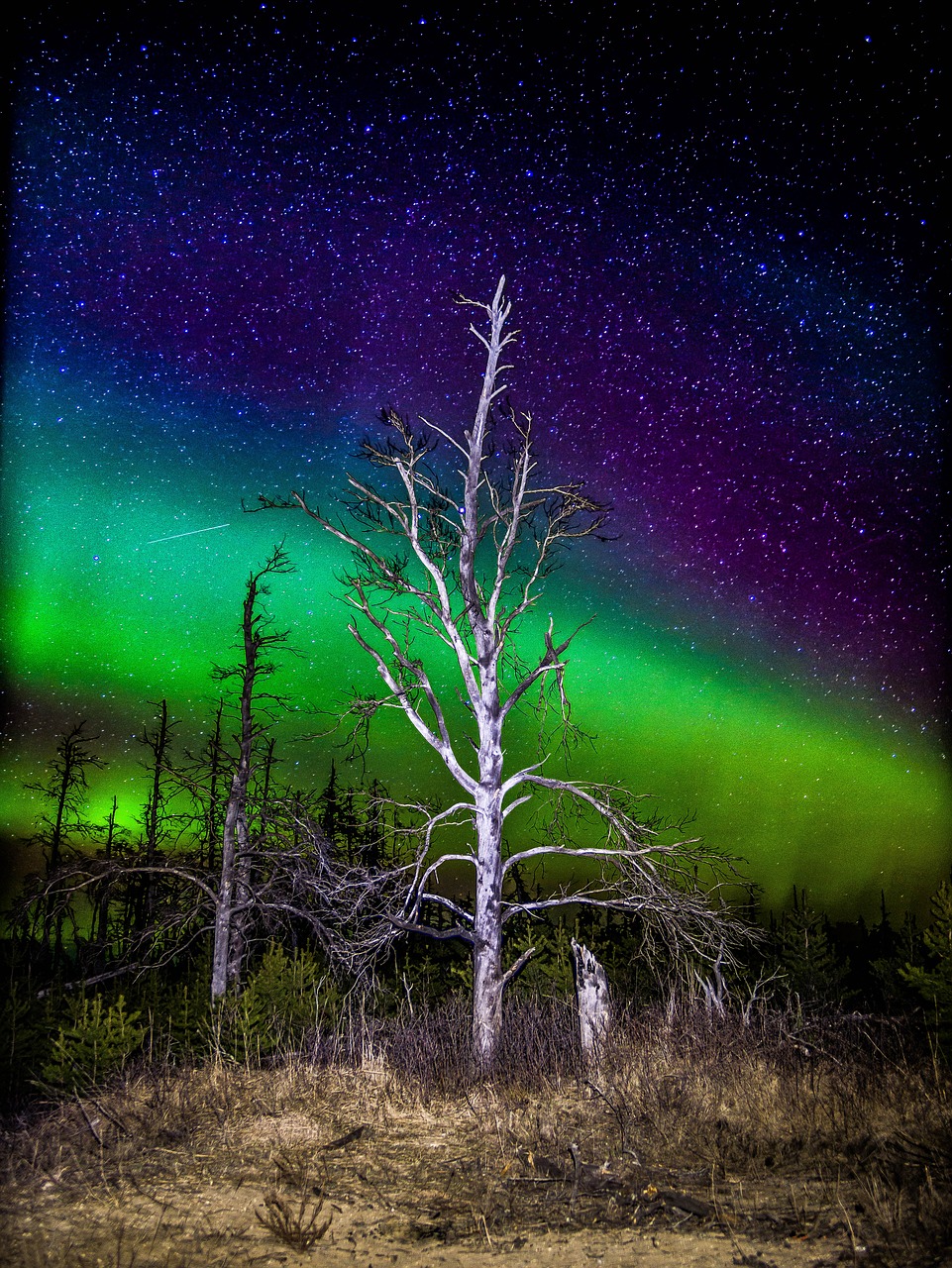 aurora northern lights sky free photo