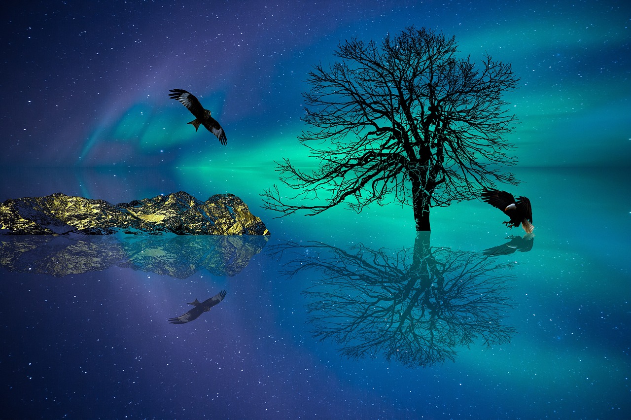 aurora  arctic  night free photo