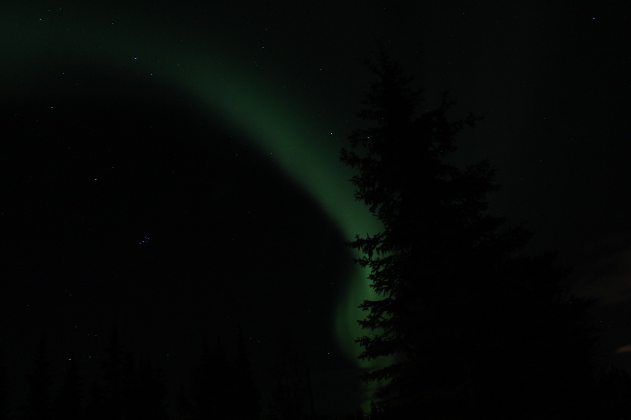 aurora northern lights alaska free photo