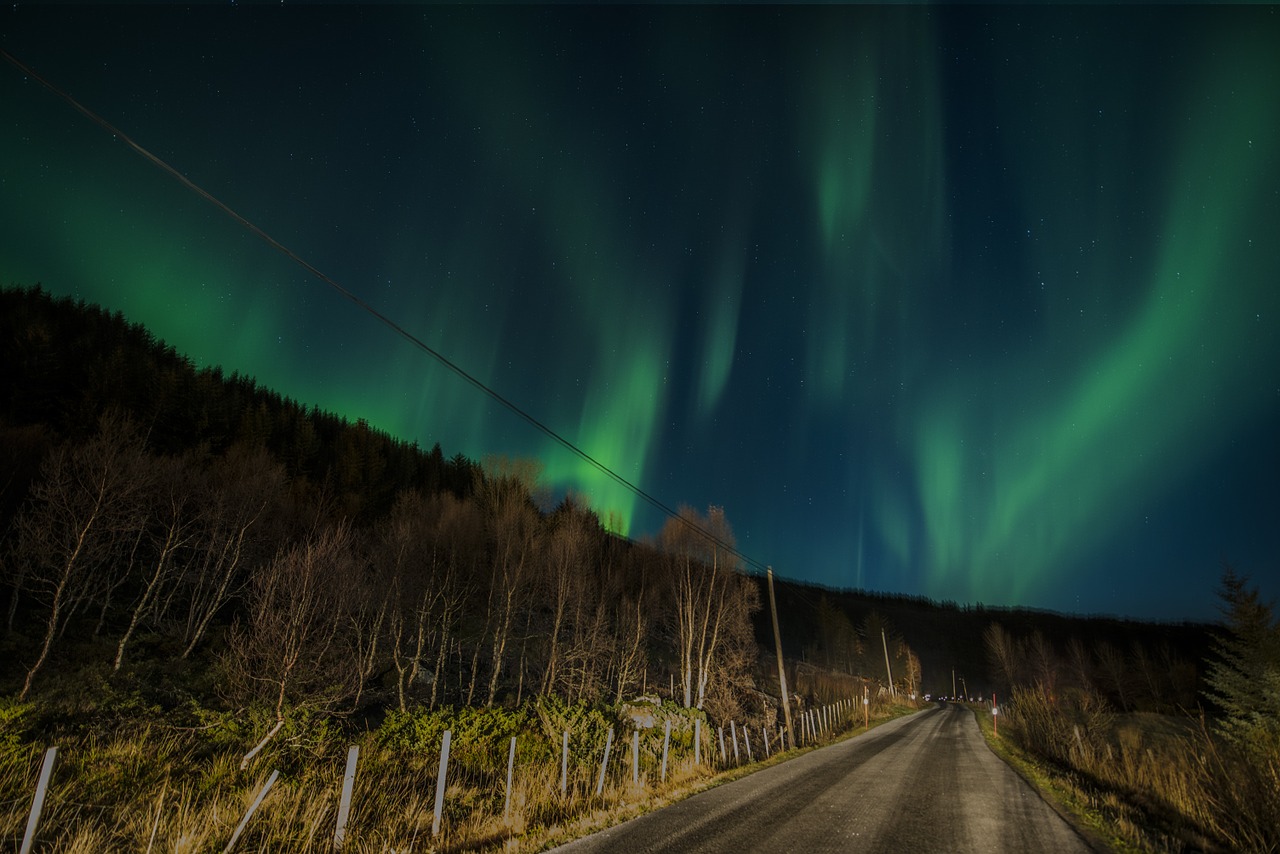 aurora borealis lofoten norway free photo